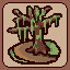 Icon for Watch out Washington!