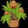 GrowBud Demo icon