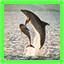 Achievement icon