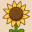 Marsh's Mellow Flower Shop icon