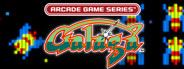 ARCADE GAME SERIES: GALAGA