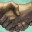 PROJECT NATIONALIZM icon