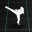 KARATE ROGUE Demo icon