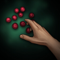 Icon for Item Collector I