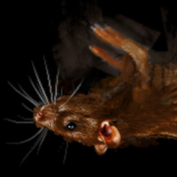 Icon for FAST REFLEXES