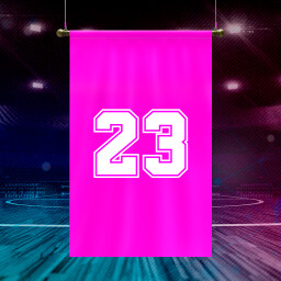 Hall of Fame achievement icon for International Basketball Manager 26