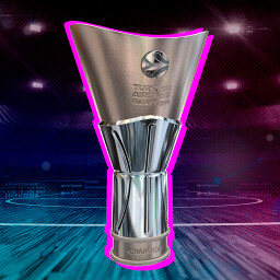 Europe is Mine achievement icon for International Basketball Manager 26