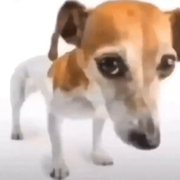 Icon for I.. I.. Follow...