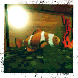 Icon for New Friend