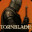 TORNBLADE icon