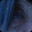 Perceptum Playtest icon