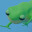 og frog fr icon