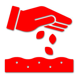Icon for Seeding