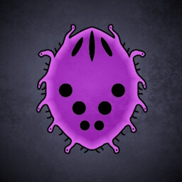 Icon for Gorgonia punctata