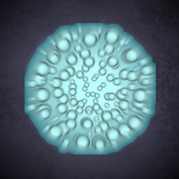 Icon for Somattractor