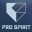 eBaseball™: PRO SPIRIT icon