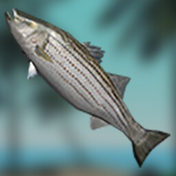 Four Or Five Strings? achievement icon for Stranded Without A Phone