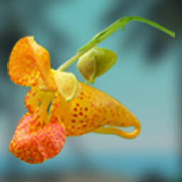 Medicine Man achievement icon for Stranded Without A Phone