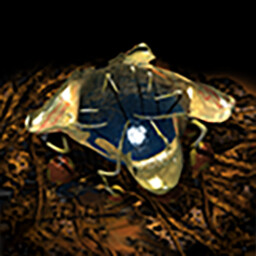 Watch Your Back achievement icon for Stranded Without A Phone