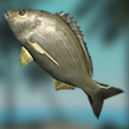 Don't Be Scared achievement icon for Stranded Without A Phone