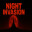 Night Invasion icon