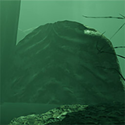Explore