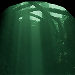 Cave