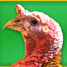 Icon for The Turkey