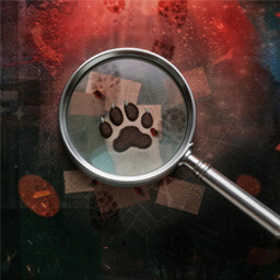 Key clue