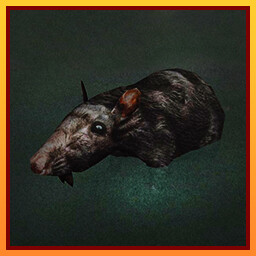 Leptospirosis achievement icon for Taguan