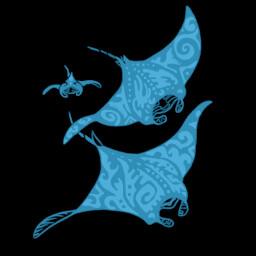 Icon for Riding High!