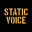 Static Voice icon