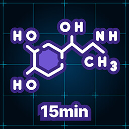 Icon for Adrenalin-Protokoll
