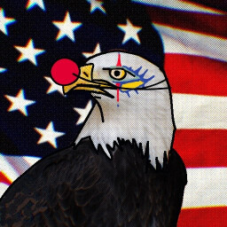 Icon for Important To The Vision