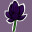 FloraLumina icon
