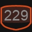 229 level