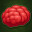 Bouncy Brain icon