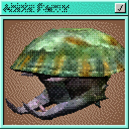 Mycelium about the Consilium