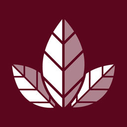 Errungenschaften-Symbol