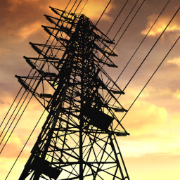 Icon for Down the Rabbit Hole