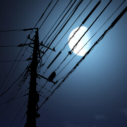 Icon for April is the Cruelest Month