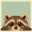 Hidden Raccoons icon