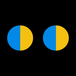 Icon for Identity Crisis