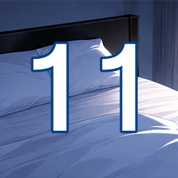 Icon for 11 level completed