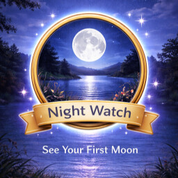 Night Watch (Zen Edition) achievement icon for Rockwell's Zen Tiles