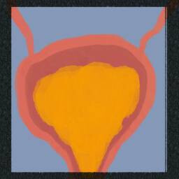 Icon for Full Bladder