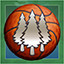 Icon for Timber Hoops
