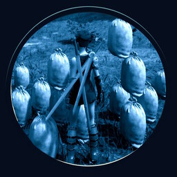 Icon for Proud Polluter