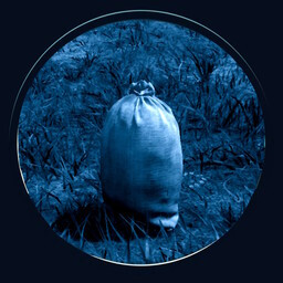 Icon for That Was Pointless, Right?