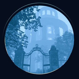 Icon for Should’ve Stayed on the Shore 